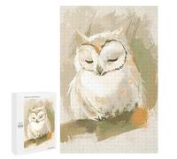 Puzzles pour Adultes Et Adolescents Cute Sleeping Baby Owl Nursery Illustration Puzzles pour Adolescents, Jeu Familial, Vacances À La Maison, Passe-Temps, Interaction Parent-Enfant 1000 PCS