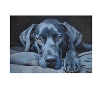 Puzzles pour Adultes Et Adolescents Great Dane in Blue Puzzles pour Adultes, Jouets À Monter Soi-même, Modèles À Assembler, Cadeaux d'anniversaire Et Cadeaux Uniques 1000pcs(38x26cm)