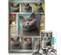 Puzzles pour Adultes et Adolescents, Puzzle de 1000 pièces, Collage de Chats British Shorthair, Aide Le Cerveau à exercer des Jouets addictifs pour cultiver la Patience, décoration Parfaite (38x26cm)