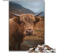 Puzzles pour Adultes et Adolescents, Puzzles Highland Cow, pour et à partir de 14 Ans, Jouets éducatifs et éducatifs, Jeux en Famille, Cadeau d'anniversaire (Taille 50x75cm)