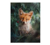Puzzles pour Adultes Fox with Rose Puzzles pour Adultes : Jeux Relaxants, Défis Difficiles, Cadeaux d'anniversaire Et Cadeaux Uniques 52x38cm/1000pcs