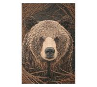 Puzzles pour Adultes Grizzly Bear Portrait Puzzles Jeux Relaxants Découpe De Précision Cadeaux pour Les Amis Et La Famille 1000pcs(75x50cm)
