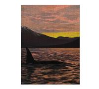 Puzzles pour Adultes Orca Under Sunset Puzzles pour Adultes - Jeux Relaxants - Décoration Murale - Cadeaux pour Les Amis Et La Famille 52x38cm/1000pcs