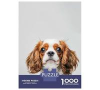 Puzzles pour Adultes - Puzzles De 1000 Pièces Baby Cavalier King Charles Puzzles pour Adolescents - Découpe De Précision - Interaction Parent-Enfant - Jeu Au Design Élégant 70x50cm/1000pcs