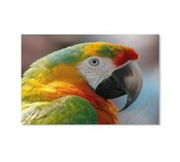Puzzles pour Adultes, Puzzles de 2000 pièces pour Adultes et Enfants, Perroquet aux Plumes colorées, œuvres d'art, Jouets éducatifs et intellectuels, Cadeaux 70 x 100 cm