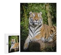 Puzzles pour Adultes Tiger Lying on Brown Tree Puzzle pour Adultes - Jeux De Détente - Cadeau d'anniversaire - Cadeaux Uniques Et Originaux 500 PCS
