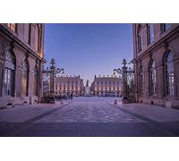 Puzzles pour Enfants 1000 pièces Ville Rue France Monument Architectural Nancy Place Stanislas 38x26CM