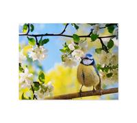 Puzzles，Printemps: mésange Bleue perchée sur Une Branche de Pommier en Fleurs，Adultes Puzzle en Papier, Loisirs Divertissement Jeu Jouet-1000 Pièces（50x70cm）-C25