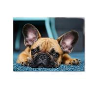 Puzzles Puzzle 1000 Pièces Puzzles，Chiot Bouledogue français，Jeu Art Enfants Adultes Loisirs Drôle Jeu Jouet（50x70cm）-E96