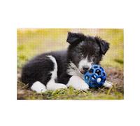 Puzzles, Puzzles pour Adultes, Puzzle Stimulant, 1000 pièces, Puzzle en Bois, Border Collie, Chiens, Chiots, Animaux de Compagnie, Bordure Noire