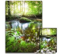 Puzzles Qui suis-Je 1000 pièces pour Adultes Puzzles en Bois Décoration d'intérieur colorée et Jeu Familial interactif 1000 pièces (38 x 26 cm)