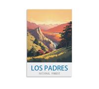 Puzzles stimulants, Forêt Nationale de Los Padres : Un Puzzle de 1000 pièces (50 x 70 cm) pour Adultes, à la Fois Difficile et Amusant.