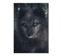 Puzzles The Silver Fox Puzzles pour Adultes, Jouets Anti-Stress, Modèles À Assembler, Parfaits comme Cadeaux pour Toute La Famille 38x26cm/1000pcs