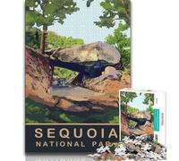 Puzzles Voiture sous l'arche rocheuse pour Adultes 1000 pièces, Jeu éducatif Amusant et Humoristique pour Anniversaire 38x26cm