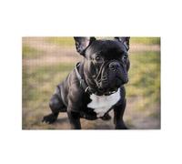 Puzzles1000 pièces Yyhwhjde Bouledogue Français Impression Chien Puzzles éducatifs intellectuels en bois, Puzzles amusants, Jeu de Soulagement du Stress