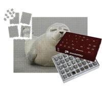 puzzleYOU : Calendrier de l'Avent | « Adorable bébé Phoque Gris »