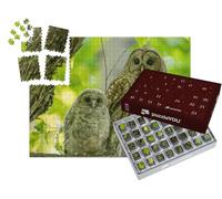 puzzleYOU : Calendrier de l'Avent | « Adultes et Jeunes éperviers perchés sur Une Branche au début de l'été, Canada »
