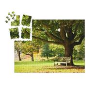 puzzleYOU : Calendrier de l'Avent | « Banc sous Un Arbre Ancien dans Les Royal Botanic Gardens, Londres »