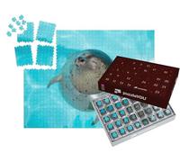 puzzleYOU : Calendrier de l'Avent | « Bébé Phoque, détendu dans l'eau »