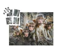 puzzleYOU : Calendrier de l'Avent | « Bébés singes Curieux, Lopburi, Thaïlande »