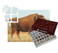 puzzleYOU : Calendrier de l'Avent | « Bison d'Amérique, Montagnes Rocheuses, Colorado »
