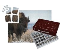puzzleYOU : Calendrier de l'Avent | « Bison d'Oklahoma après des Chutes de Neige en décembre »