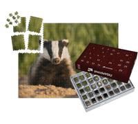 puzzleYOU : Calendrier de l'Avent | « Blaireau européen après Avoir quitté Son Terrier »