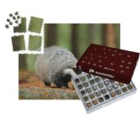 puzzleYOU : Calendrier de l'Avent | « Blaireau Un Jour de Pluie dans la Nature, Allemagne »