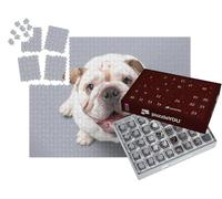 puzzleYOU : Calendrier de l'Avent | « Bouledogue Britannique Chiot Regarde vers Le Haut »