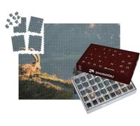 puzzleYOU : Calendrier de l'Avent | « Bouquetin, Bouquetin des Alpes, Alpes suisses »