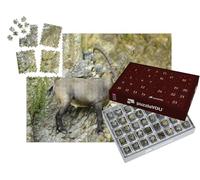 puzzleYOU : Calendrier de l'Avent | « Bouquetin Debout Contre Une paroi rocheuse »