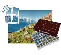 puzzleYOU : Calendrier de l'Avent | « Bouquetin des Alpes sur Fond de Mont-Blanc dans Le Parc Naturel du Vallon de Bérard, Chamonix, Alpes Grises »