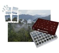 puzzleYOU : Calendrier de l'Avent | « Brume au-Dessus de la forêt Tropicale après Une tempête »