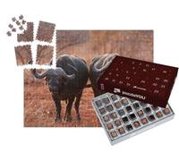 puzzleYOU : Calendrier de l'Avent | « Buffle d'Afrique, Buffle du Cap, Parc National Kruger, Afrique du Sud »