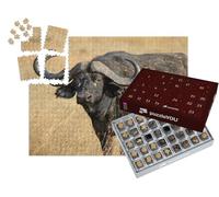 puzzleYOU : Calendrier de l'Avent | « Buffle d'Afrique ou Buffle du Cap, l'un des Big Five »