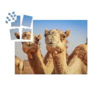 puzzleYOU : Calendrier de l'Avent | « Chameaux en liberté en Arabie »