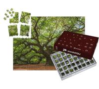 puzzleYOU : Calendrier de l'Avent | « Chénopode à Johns Island, Caroline du Sud »