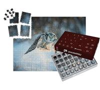 puzzleYOU : Calendrier de l'Avent | « Chouette de Tengmalm, Surnia Ulula, en Train d'attraper des Souris »
