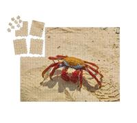 puzzleYOU : Calendrier de l'Avent | « Crabe Sally Lightfoot sur Sable Jaune, Iles Galapagos, Équateur »