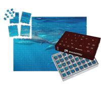 puzzleYOU : Calendrier de l'Avent | « Dauphins à Long Bec, Maurice, Océan Indien »