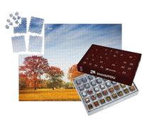 puzzleYOU : Calendrier de l'Avent | « des Arbres colorés en Automne »