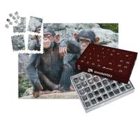 puzzleYOU : Calendrier de l'Avent | « Deux bébés chimpanzés espiègles côte à côte »