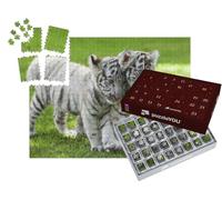 puzzleYOU : Calendrier de l'Avent | « Deux bébés tieger Blancs »
