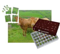 puzzleYOU : Calendrier de l'Avent | « Deux Belles Vaches limousines sur Les High Fells près de Keld dans Le North Yorkshire »