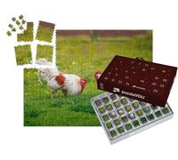 puzzleYOU : Calendrier de l'Avent | « Deux coqs Dominants, prêts à se Battre »