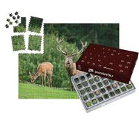 puzzleYOU : Calendrier de l'Avent | « Face à Face avec Un cerf, en arrière-Plan Une biche en Train de brouter »