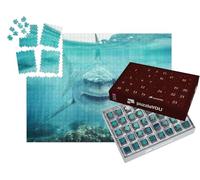 puzzleYOU : Calendrier de l'Avent | « Face à Face avec Un Grand Requin Blanc »