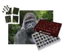 puzzleYOU : Calendrier de l'Avent | « Gorille des Plaines de l'Ouest mâle à Dos argenté »