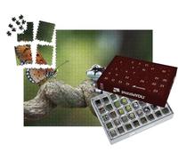 puzzleYOU : Calendrier de l'Avent | « Grenouille de Lait d'Amazonie, Face à Face avec Un Papillon »