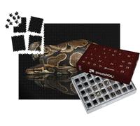 puzzleYOU : Calendrier de l'Avent | « Gros Plan sur Un Python Royal »